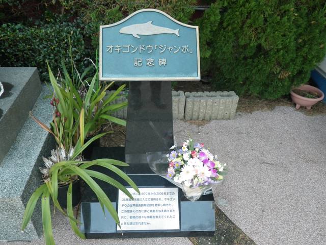 花屋束 花屋束