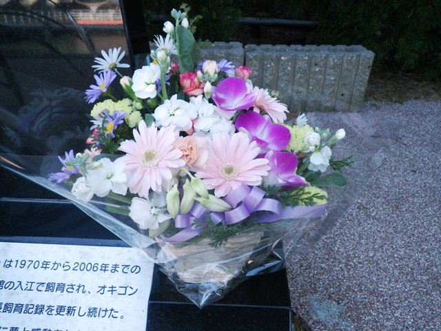 花束 花束